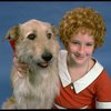 Actress Shelley Bruce as Annie w. Sandy in a scene from the Broadway production of the musical "Annie."