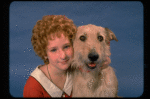 Actress Shelley Bruce as Annie w. Sandy in a scene from the Broadway production of the musical "Annie."