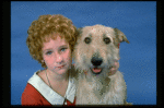 Actress Shelley Bruce as Annie w. Sandy in a scene from the Broadway production of the musical "Annie."