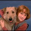 Actress Shelley Bruce as Annie w. Sandy in a scene from the Broadway production of the musical "Annie."