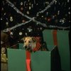 Sandy the dog in a scene from the Broadway production of the musical "Annie."