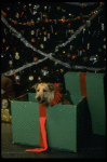 Sandy the dog in a scene from the Broadway production of the musical "Annie."