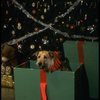 Sandy the dog in a scene from the Broadway production of the musical "Annie."