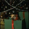 Sandy the dog in a scene from the Broadway production of the musical "Annie."