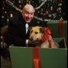 Actor Reid Shelton as Daddy Warbucks w. Sandy in a scene from the Broadway production of the musical "Annie."