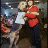 Actress Roseanne Sorrentino as Annie w. Sandy during a rehearsal for the Dallas production of the musical "Annie."