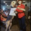 Roseanne Sorrentino as Annie and Harve Presnell as Daddy Warbucks w. Sandy during a rehearsal for the Dallas production of the musical "Annie."