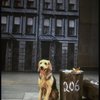 Sandy the dog in a scene from the Dallas production of musical "Annie."