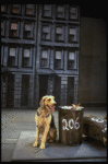 Sandy the dog in a scene from the Dallas production of musical "Annie."