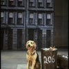 Sandy the dog in a scene from the Dallas production of musical "Annie."