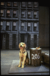 Sandy the dog in a scene from the Dallas production of musical "Annie."