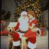 Actress Roseanne Sorrentino as Annie w. Sandy and Santa Claus in a scene from the Dallas production of musical "Annie."