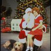 Actress Roseanne Sorrentino as Annie w. Sandy and Santa Claus in a scene from the Dallas production of musical "Annie."