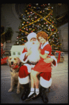Actress Roseanne Sorrentino as Annie w. Sandy and Santa Claus in a scene from the Dallas production of musical "Annie."