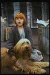 Actress Mary K. Lombardi as Annie w. Sandy in a scene from the Chicago production of the musical "Annie."