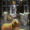 Mary K. Lombardi as Annie w. Sandy and a policeman in a scene from the Chicago production of the musical "Annie."