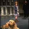 Mary K. Lombardi as Annie w. Sandy and a policeman in a scene from the Chicago production of the musical "Annie."