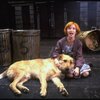 Allison Smith as Annie w. Sandy in a scene from the Broadway production of the musical "Annie."