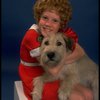 Actress Theda Stemler as Annie w. Sandy from the Philadelphia production of the musical "Annie."