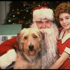 Roseanne Sorrentino as Annie w. Santa Claus and Sandy in a scene from the touring company of the musical "Annie." (Louisville)