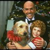 Bridget Walsh as Annie and Rhodes Reason as Daddy Warbucks w. Sandy in a scene from a touring company of the musical "Annie." (Fort Worth)