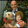 Bridget Walsh as Annie and Rhodes Reason as Daddy Warbucks w. Sandy in a scene from a touring company of the musical "Annie." (Fort Worth)
