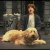 Louanne as Annie w. Sandy in a scene from a touring company of the musical "Annie." (Boston)