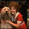 Louanne as Annie w. Sandy in a scene from a touring company of the musical "Annie." (Boston)