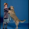 Allison Smith as Annie w. Sandy in a scene from the Broadway production of the musical "Annie." (New York)