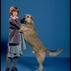 Allison Smith as Annie w. Sandy in a scene from the Broadway production of the musical "Annie." (New York)