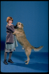 Allison Smith as Annie w. Sandy in a scene from the Broadway production of the musical "Annie." (New York)