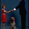 Mollie Hall as Annie and Ron Holgate as Daddy Warbucks w. Sandy in a scene from a touring company of the musical "Annie."