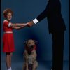Mollie Hall as Annie and Ron Holgate as Daddy Warbucks w. Sandy in a scene from a touring company of the musical "Annie."