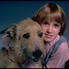 Alyson Kirk as Annie w. Sandy in a scene from the Broadway company of the musical "Annie"