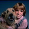 Alyson Kirk as Annie w. Sandy in a scene from the Broadway company of the musical "Annie"