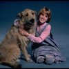 Alyson Kirk as Annie w. Sandy in a scene from the Broadway company of the musical "Annie"