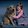 Alyson Kirk as Annie w. Sandy in a scene from the Broadway company of the musical "Annie"