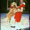 Annie and Sandy in a scene from a touring company of the musical "Annie." (Westbury)