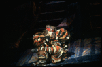Stephen Hanan in a scene from the Broadway musical "Cats." (New York)