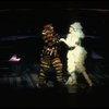 Bonnie Simmons and Stephen Hanan in a scene from the Broadway musical "Cats." (New York)