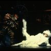 Bonnie Simmons and Stephen Hanan in a scene from the Broadway musical "Cats." (New York)