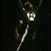 Ken Ard in a scene from the Broadway musical "Cats." (New York)