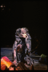 Betty Buckley in a scene from the Broadway musical "Cats." (New York)