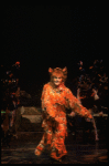 Anna McNeely in a scene from the Broadway musical "Cats." (New York)