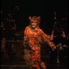 Anna McNeely in a scene from the Broadway musical "Cats." (New York)