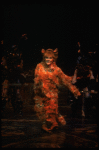 Anna McNeely in a scene from the Broadway musical "Cats." (New York)