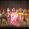 George Hearn (C) in drag in a pink maribou costume in a scene from the Broadway musical "La Cage Aux Folles." (New York)