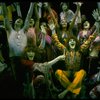 A scene from the Broadway production of the musical "Hair." (New York)