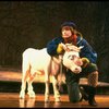 Ben Wright as Jack w. his cow in a scene from the Broadway production of the musical "Into The Woods." (New York)
