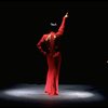 Chita Rivera in a scene from the Broadway production of the musical "Kiss Of The Spiderwoman." (New York)